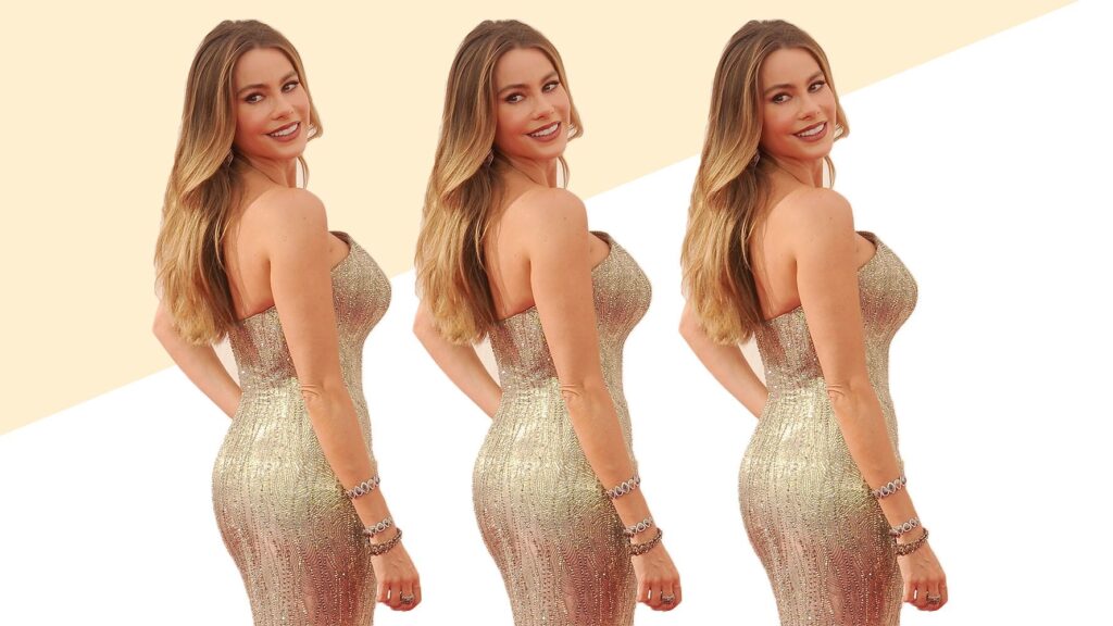Sofia Vergara Full Body Measurements (2025)